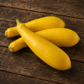 Yellow Squash
